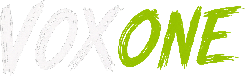 VOX ONE
